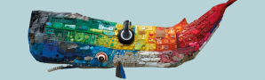 VII Encontro Internacional do Lixo Mariño. Crebeiros no mundo. Traballando pola saúde dos océanos
