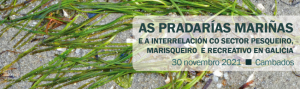 Jornada 'Las praderas marinas y la interrelación con el sector pesquero, marisquero y recreativo en Galicia'