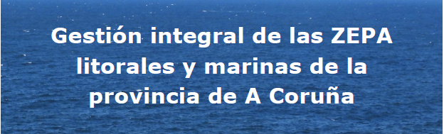 Informe 'Xestión integral das ZEPA mariñas do noroeste da Península Ibérica"