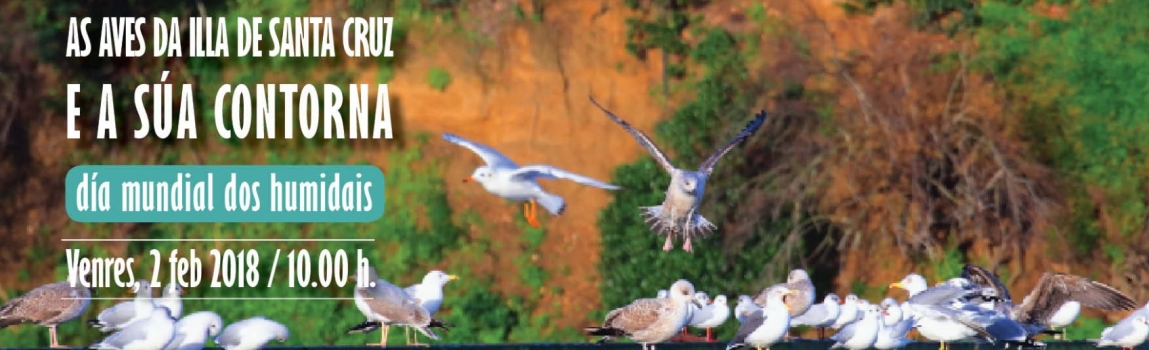 As aves da Illa de Santa Cruz: Roteiro interpretativo no Día Mundial dos Humidais 2018