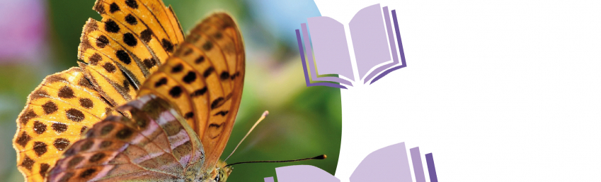 Diálogos naturalistas: mariposas, polillas y libros