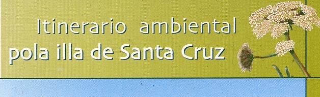 Itinerario ambiental pola Illa de Santa Cruz CEIDA