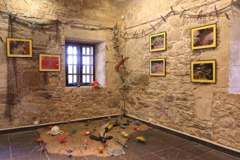 Exposicion cos pes na auga