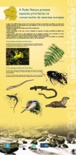 Panel 4. Especies da Rede Natura 2000