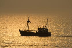 image:barco de pesca