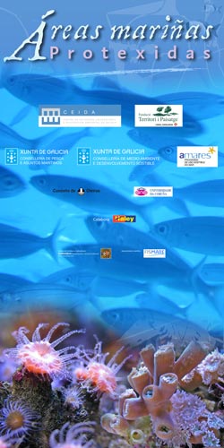 image:panel 1 da exposicin