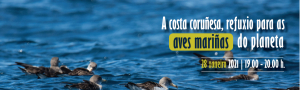 La costa coruñesa, refugio para las aves marinas del planeta