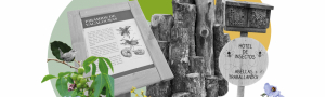 Operación Biodiversidad. Un plan secreto para la naturaleza (Programa Mundos Escondidos)