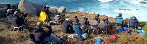 Proyecto Alas Oceánicas