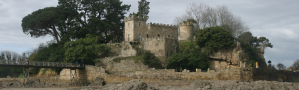 A nosa sede, o Castelo de Santa Cruz, permanecerá pechada as vindeiras semanas