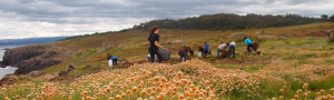 Restaurando Territorios. Capacitación para una transición justa