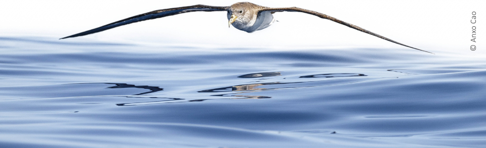 Curso de Iniciación a la Fotografía de Naturaleza