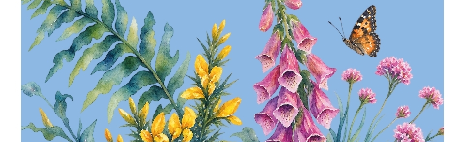 Talleres mensuales de acuarela naturalista