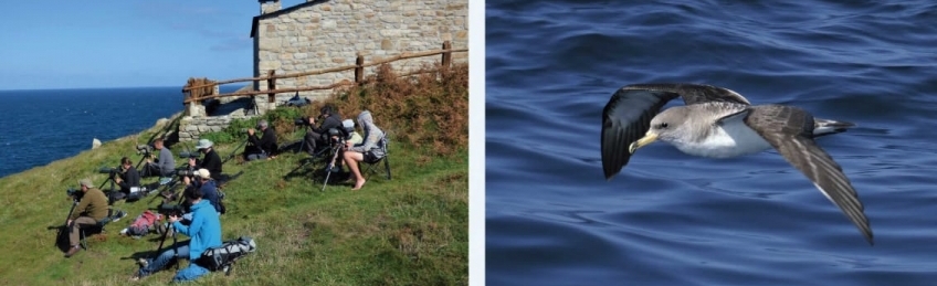 Curso de Turismo, Educación y Ocio vinculados a la Ornitología en la Costa Norte de Galicia