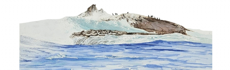 Iniciación á Pintura con Acuarela das Aves e Paisaxes singulares da Costa de Dexo: edición inverno