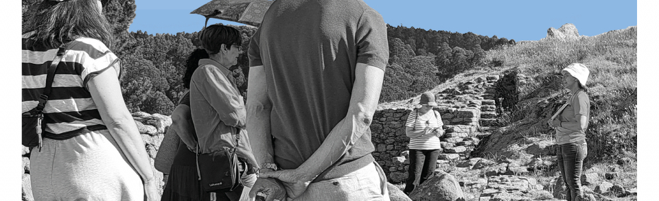 Curso Online Avanzado de Interpretación del Patrimonio: Diseño de Visitas Guiadas Interpretativas