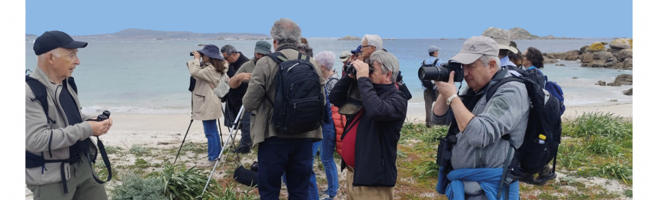 Curso online 'Produtos interpretativos para a cultura oceánica 