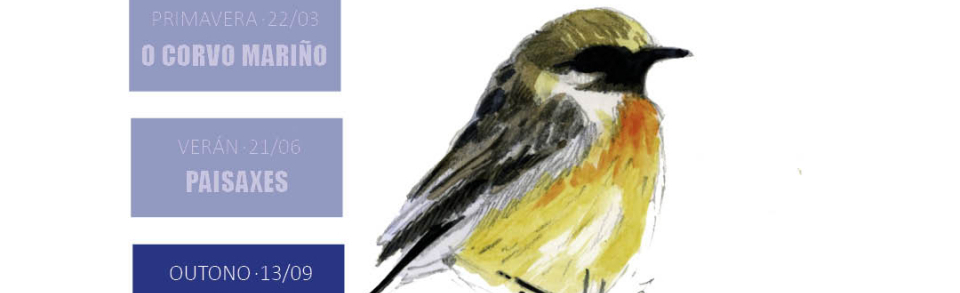 Iniciación a la Pintura con Acuarela de las Aves y Paisajes de la Costa de Dexo: edición otoño