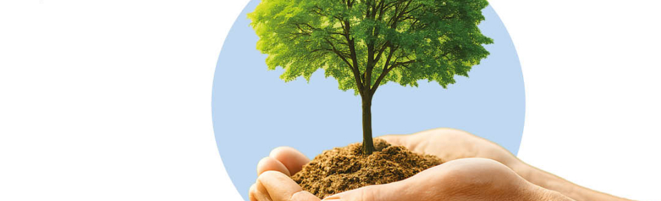 Jornada 'El nuevo reglamento de la UE sobre la Restauración de la Naturaleza de 2024: un diálogo interdisciplinar'