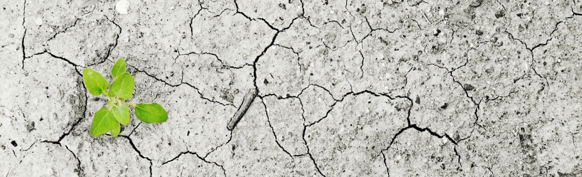 Afronta el reto, lucha contra la emergencia climática