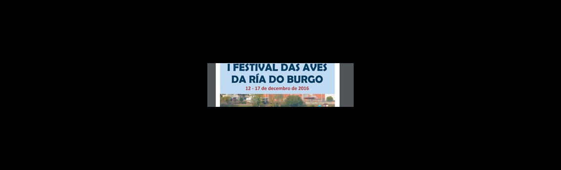 I Festival das Aves da Ría do Burgo