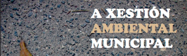 La gestión ambiental municipal: Guía de Recursos 2013