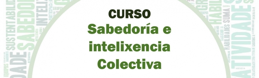Sabedoria e intelixencia colectiva curso basico facilitacion grupos CEIDA