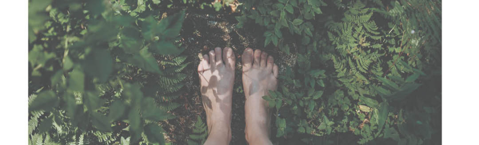 Jornada Naturaleza y Bienestar