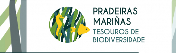 Buscando nombre para los ayudantes del proyecto ZOSTERA