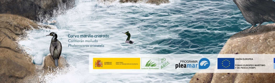 Materiales divulgativos y técnicos del proyecto 'Un mar de vida para la ciudadanía: Biodiversidad y Servicios de los Ecosistemas del Golfo Ártabro'